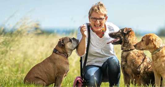 10 Essential Pet Care Tips for Healthy and Happy Pets