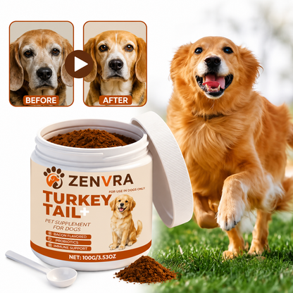 Immune Supplements For Dogs